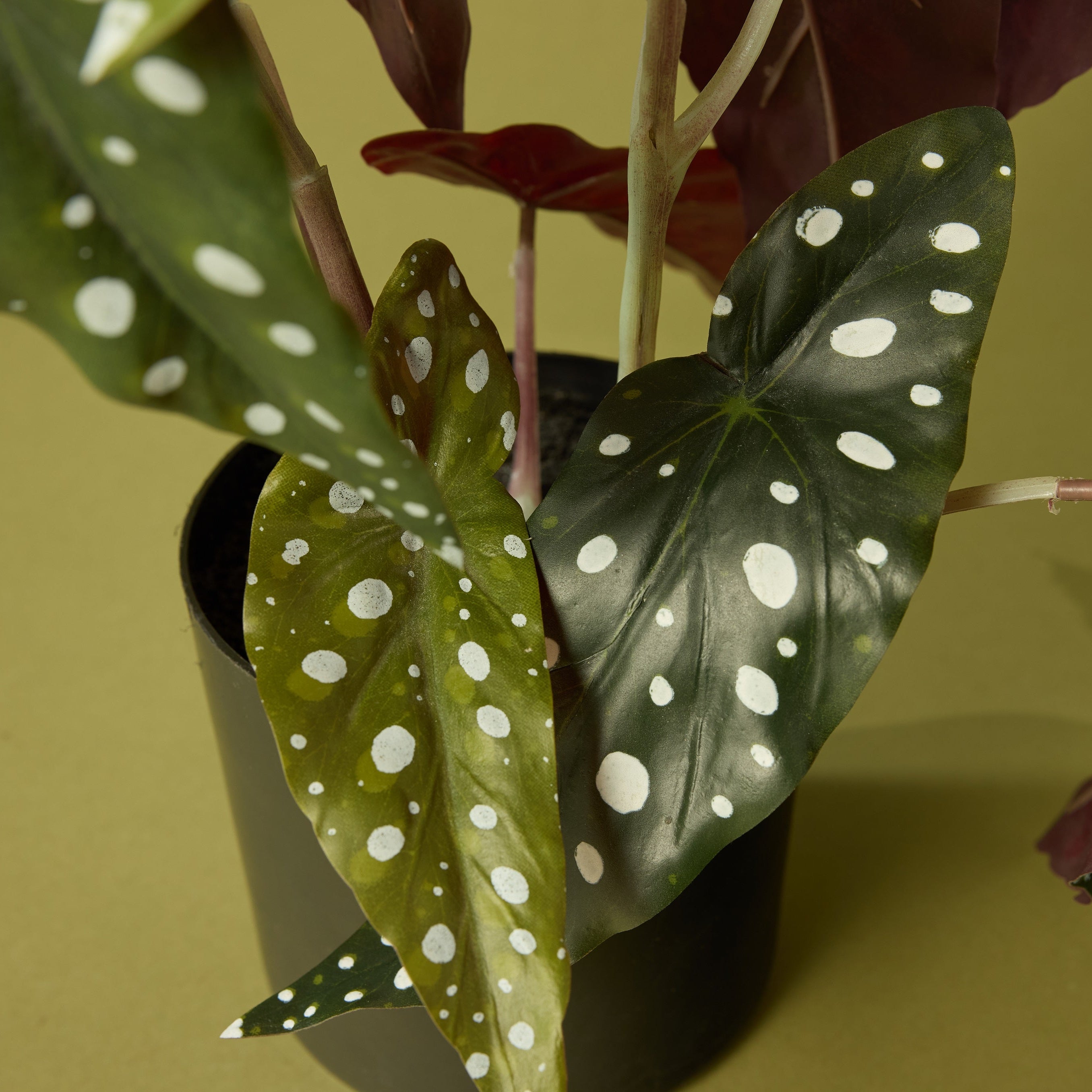 51cm Artificial Spotted Begonia Plant - Realistic Fake Foliage for Home Decor, Office, Wedding Centerpieces & Indoor Greenery