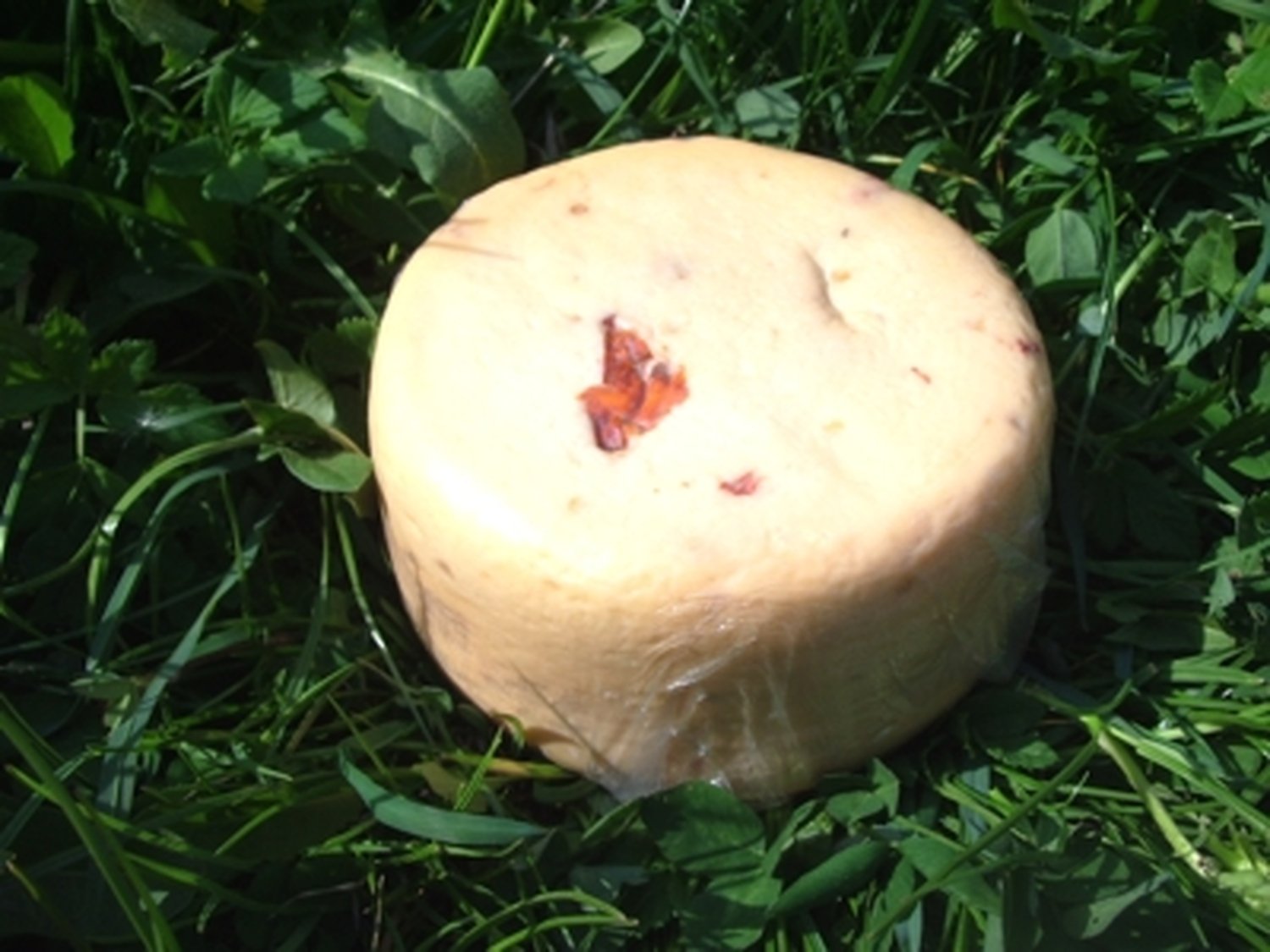 Organic Raw Milk Cheese with Chili Peppers - 700g Neuhaushof | Spicy Gourmet Cheese for Charcuterie Boards, Sandwiches & Wine Pairing