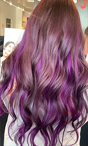 Burgundy Red & Purple Clip-in Human Hair Extensions - 14
