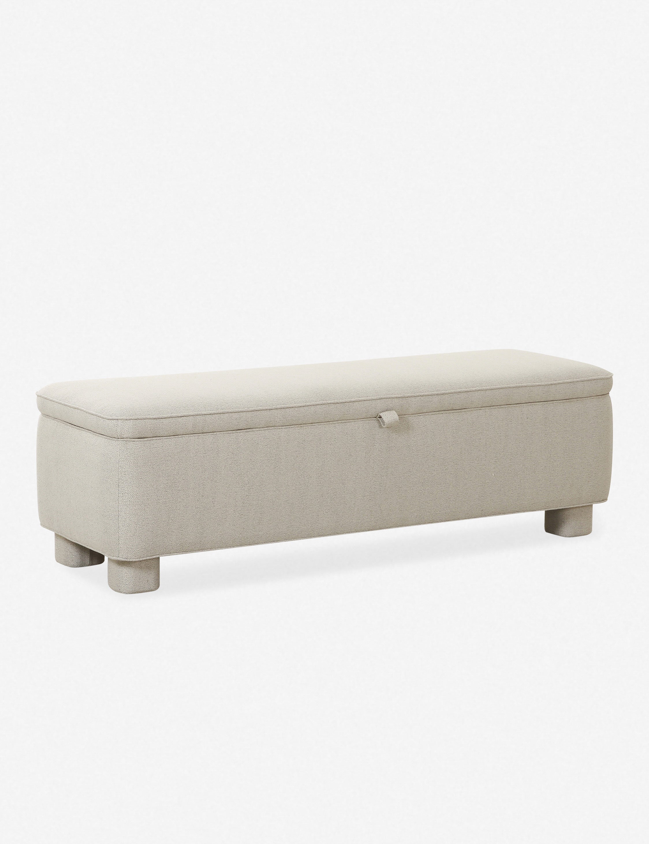 Asner Storage Bench - Foldable Entryway Bench with Cushion, Shoe Storage Ottoman for Living Room, Bedroom & Hallway - Perfect for Small Spaces & Home Organization