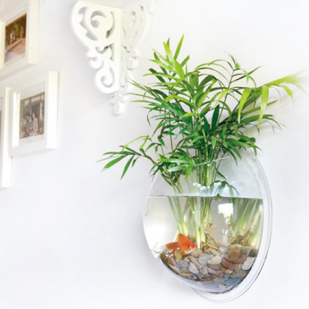 1 Gallon Hanging Wall Mounted Fish Tank Bowl - Clear Large Aquarium for Plants & Fish with Bubble Feature | Perfect for Home, Office & Wall Decor