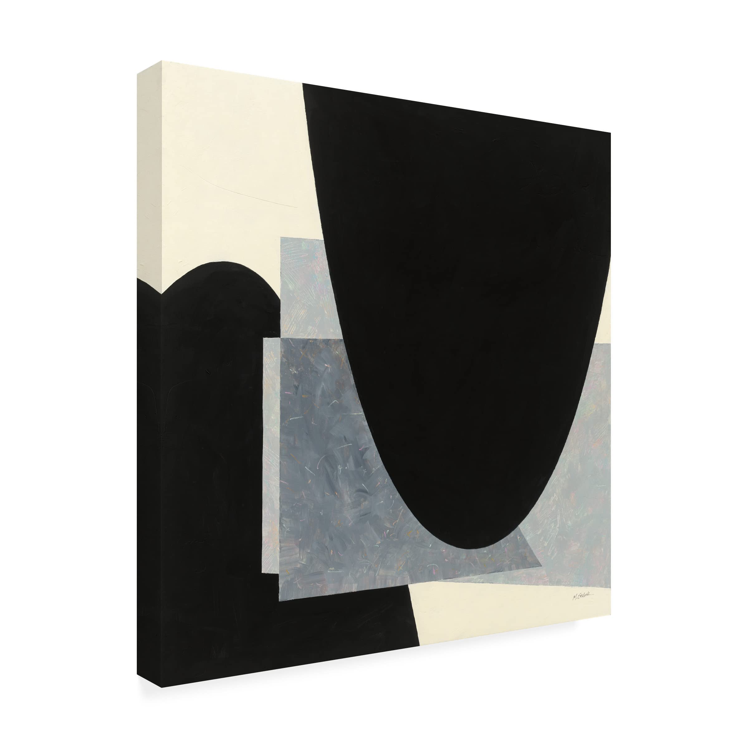 Trademark Fine Art 'Blackbird' Canvas Wall Art by Mike Schick - Modern Home Decor for Living Room, Bedroom & Office