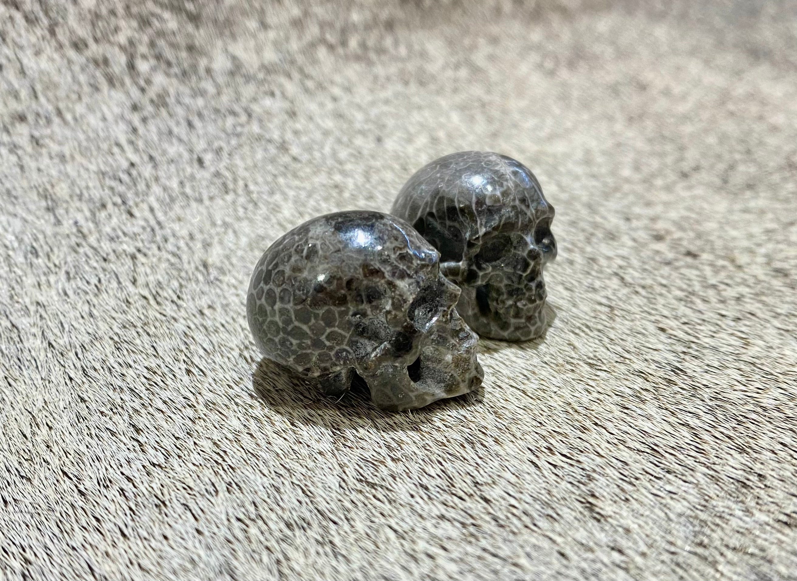Fossil Coral Skull Necklace - Handmade Jewelry for Men & Women - Unique Gothic Style Pendant - Perfect for Halloween, Cosplay & Alternative Fashion