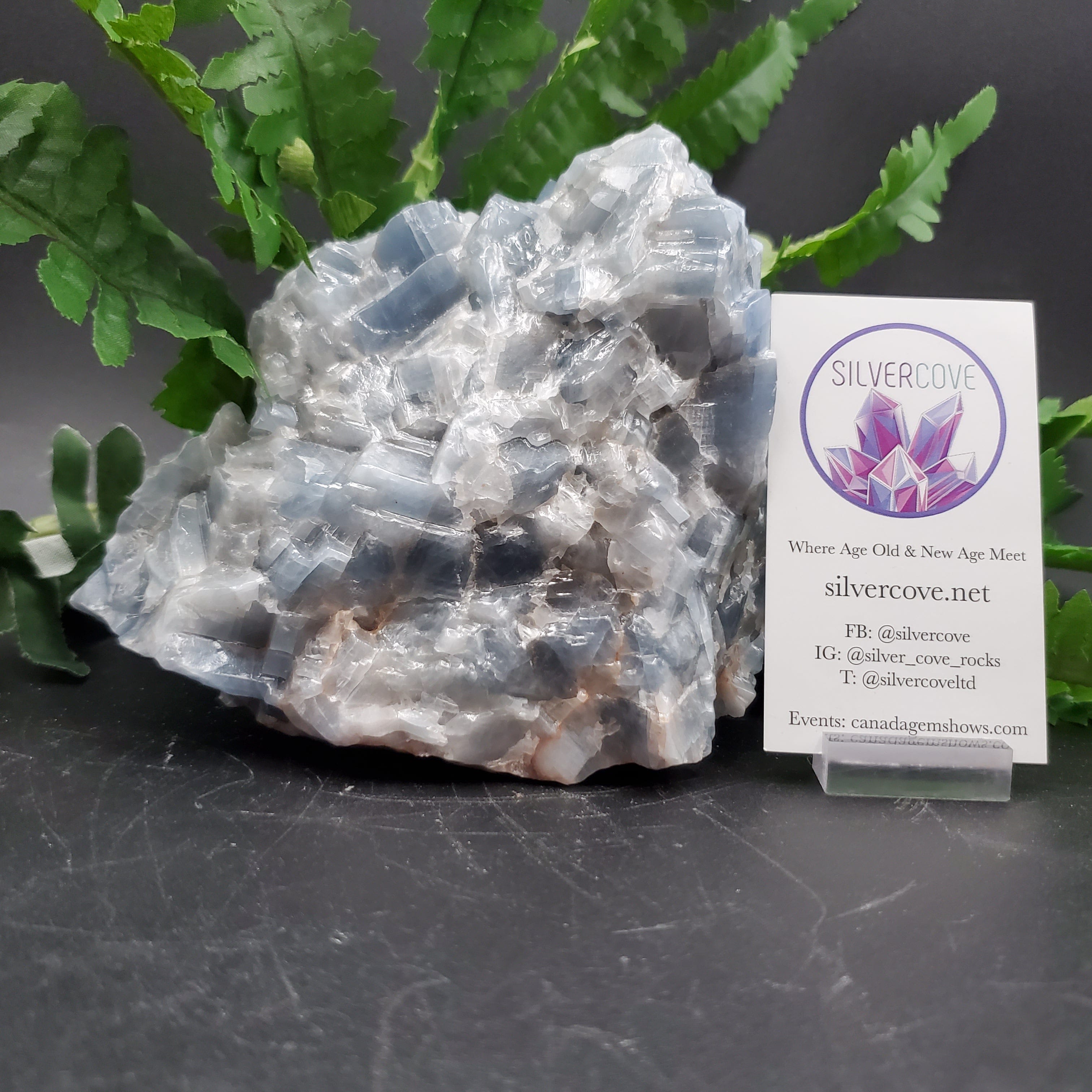 Natural Blue Calcite Crystal - 5 Pieces Set for Healing, Meditation & Home Decor | Perfect for Reiki, Chakra Balancing & Spiritual Gifts