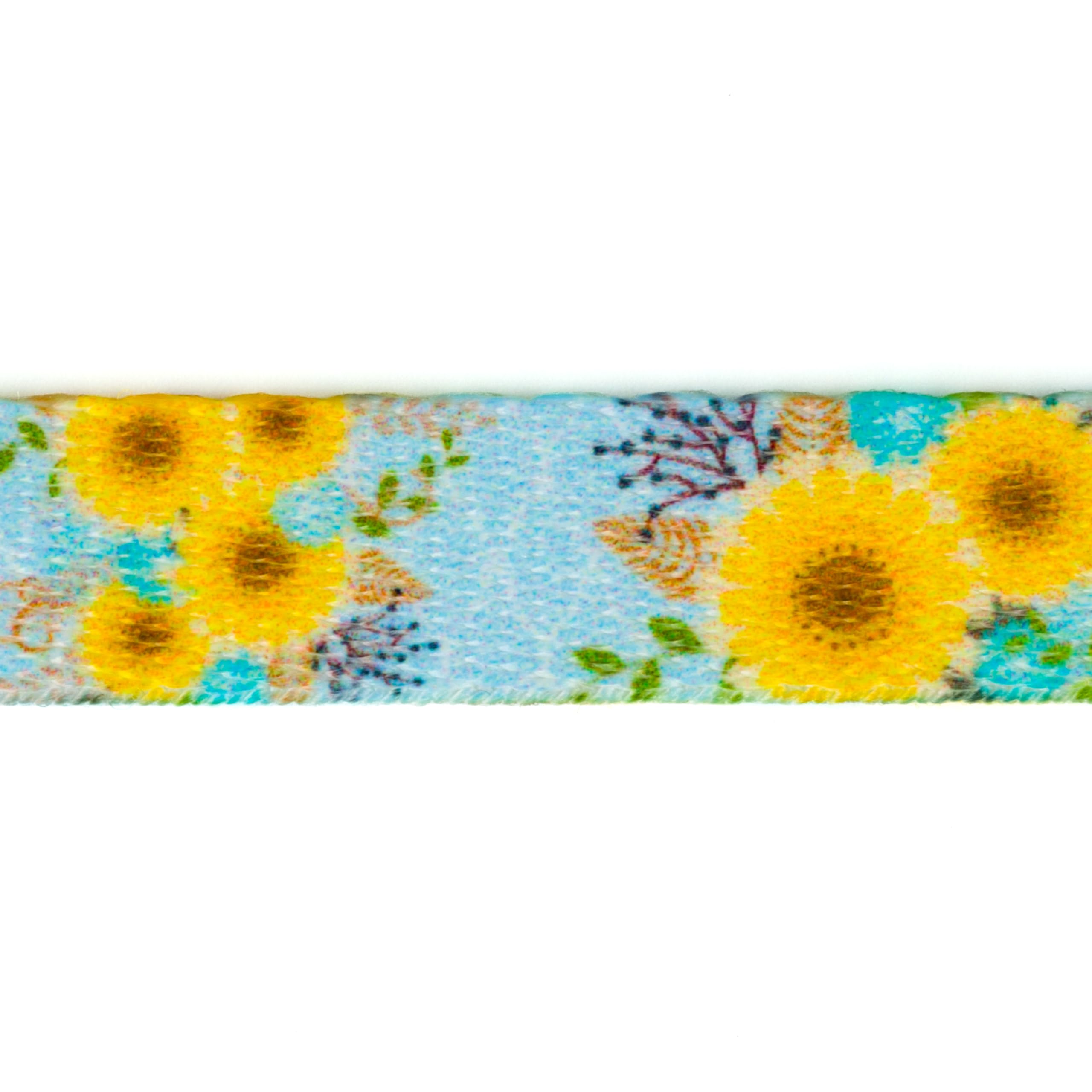 Country Brook Design - Sunny Days Polyester Webbing Dog Collar & Leash Set - Durable, Adjustable Pet Accessories for Small to Medium Dogs - Perfect for Walks, Training & Outdoor Adventures