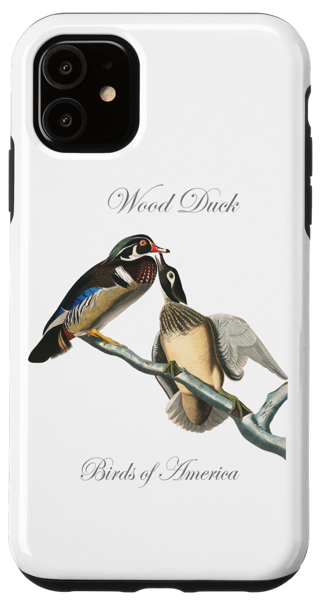 Premium iPhone 11 Wood Duck Case - Birds of America Series | Durable Protective Cover with Artistic Design | Perfect for Nature Lovers & Outdoor Enthusiasts