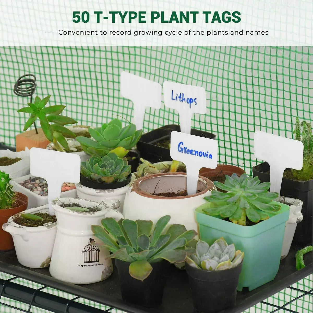 56x56x77 Walk-in Greenhouse for Plants - Portable Garden Greenhouse with Sturdy Frame & UV Protection - Perfect for Indoor/Outdoor Gardening, Seed Starting & Plant Protection