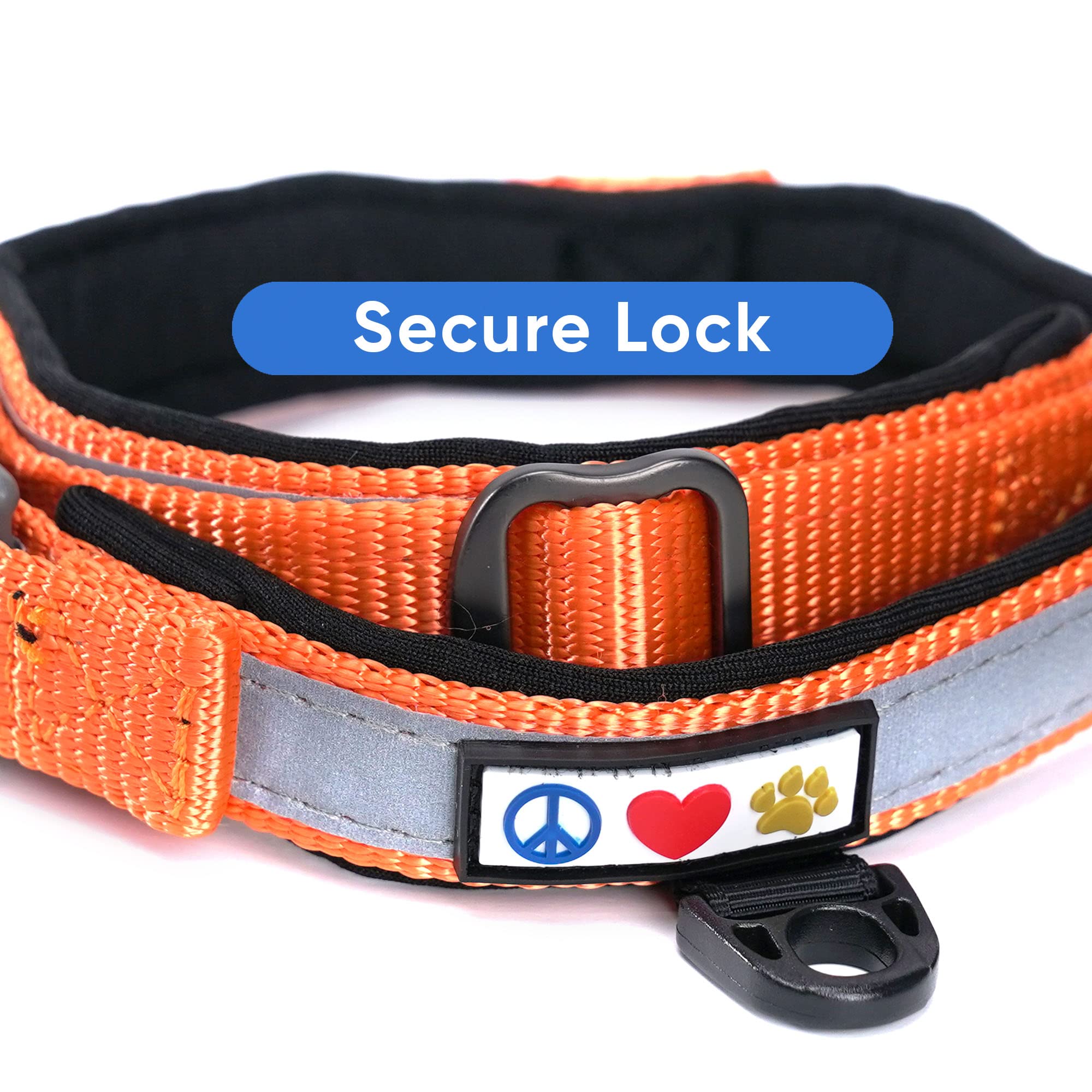Pawtitas Small Dog Harness and Collar Set with Leash - Orange Padded Value Bundle for Small Dogs | Perfect for Walking, Training, and Outdoor Adventures