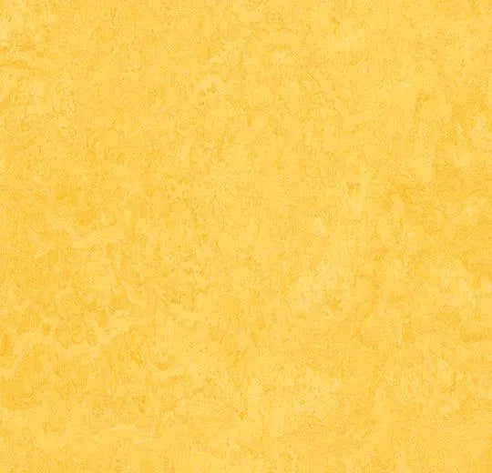 Marmoleum Cinch Loc Seal Panel - Lemon Zest 12