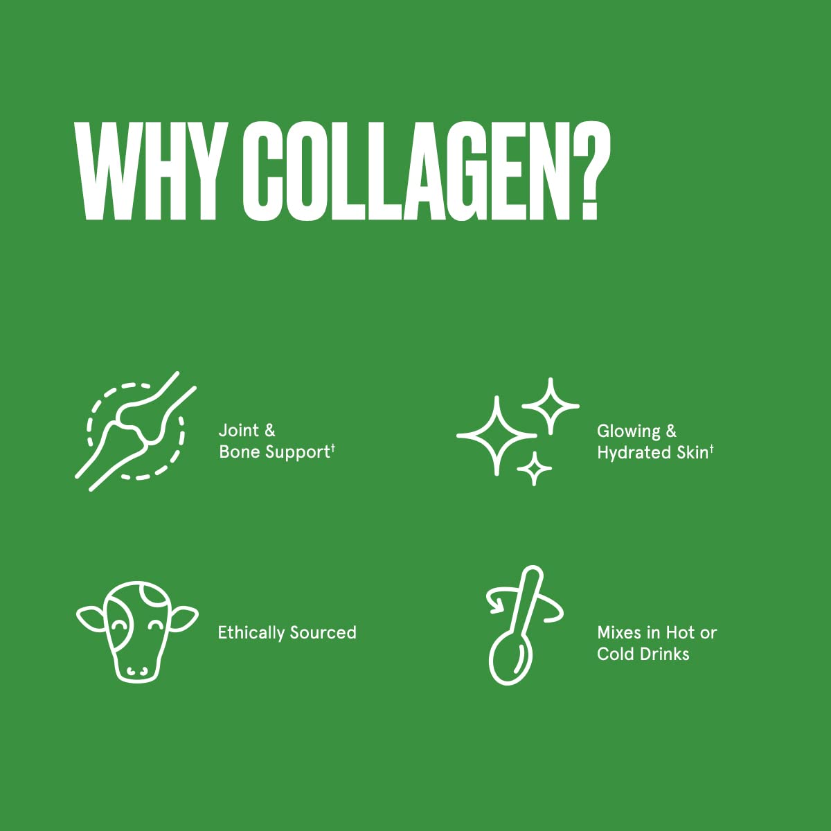**Bulletproof Unflavored Collagen Protein Powder – 18g Grass-Fed Collagen Peptides with Amino Acids & 2 Billion CFU Probiotics for Gut Health (17.6 oz) – Supports Skin, Joint & Digestion – Ideal for Smoothies, Coffee & Baking**