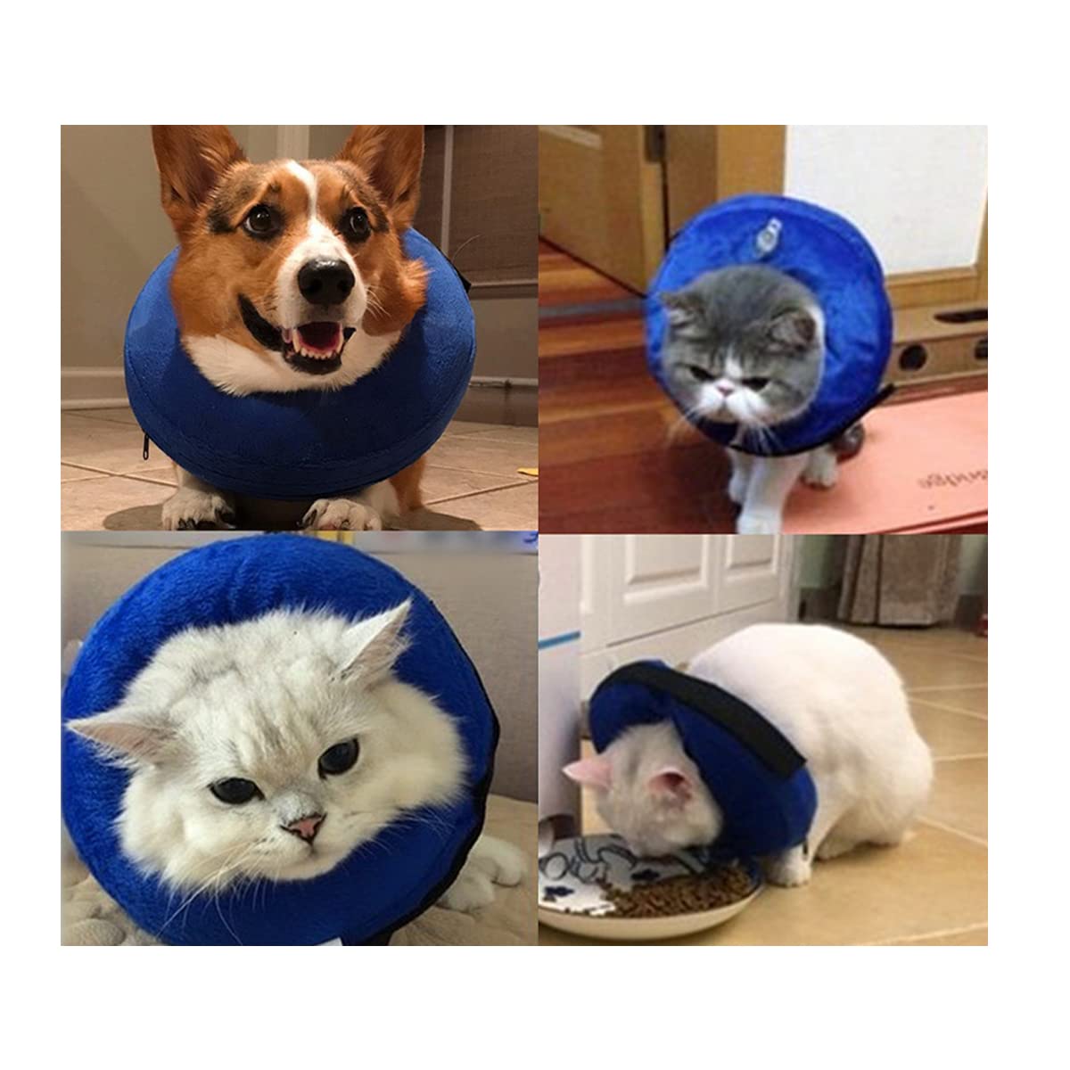 **Soft Inflatable Dog Recovery Collar – Post-Surgery Protective Pet Cone for Dogs & Cats – Prevents Biting & Scratching – Large Size – Ideal for Wound Healing & Comfort After Vet Visits**