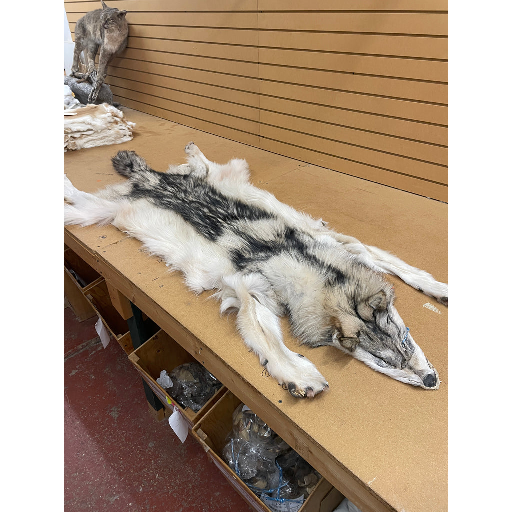 81 Inches Timber Wolf Plush Stuffed Animal - Soft and Cuddly Giant Wolf Toy for Kids, Bedroom Decor, Nursery Gift, and Themed Party Decoration