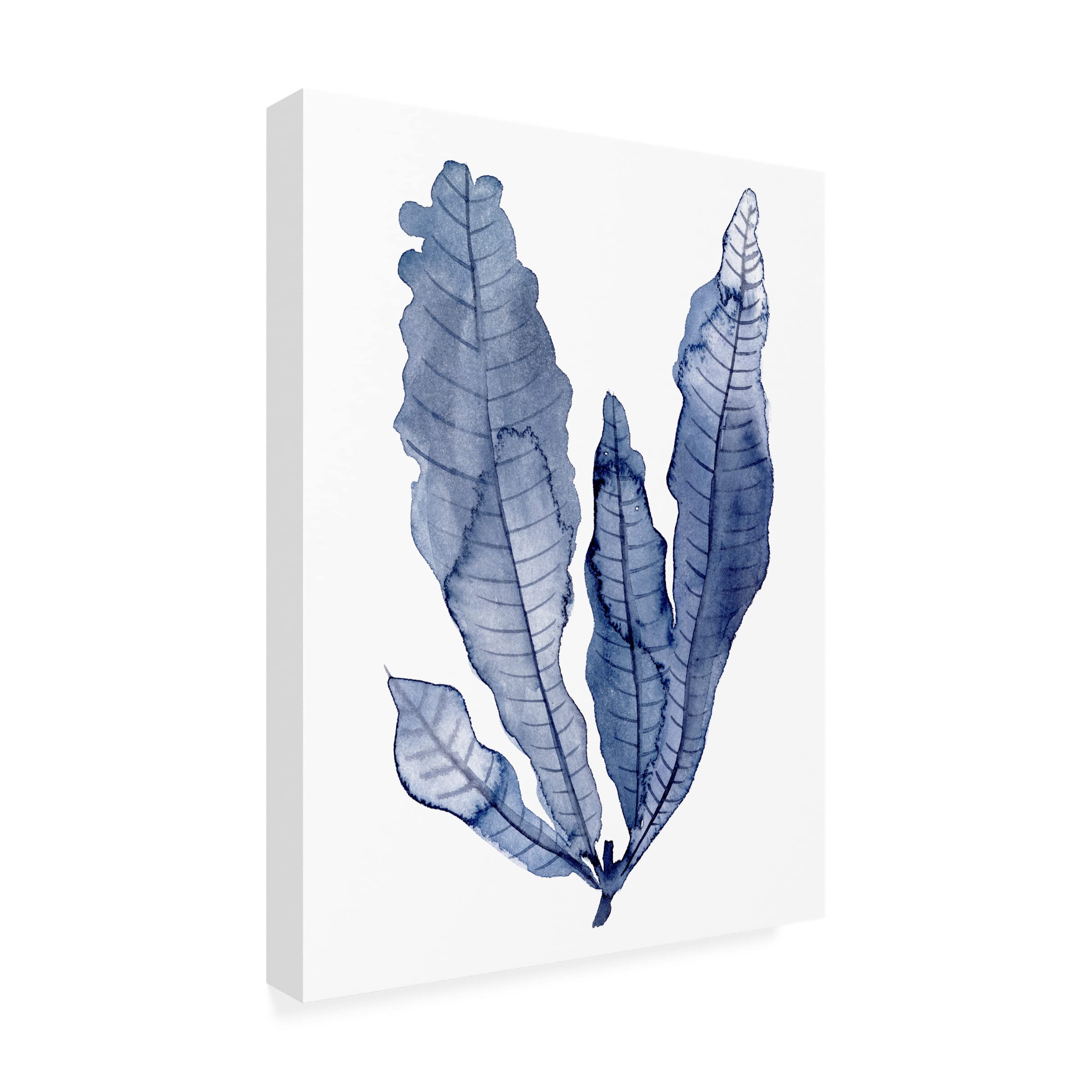 Trademark Fine Art 'Seaweed Under Water IV' Canvas Wall Art by Melissa Wang - Ocean Themed Home Decor for Living Room, Bedroom & Office