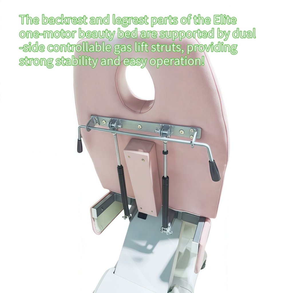 Greenlife Elite Multifunction Power Spa Chair - Professional Facial Salon, Tattoo, Microblading, Injection & Dental Treatment Chair | Perfect for Beauty Clinics, Tattoo Parlors & Medical Offices