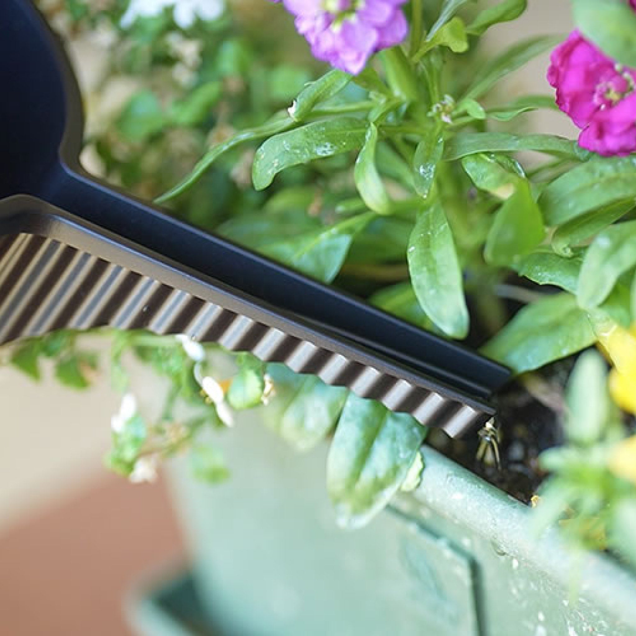 HACHIMAN KASEI 1.5L Small Garden Beetle Watering Can - Black | Perfect for Indoor Plants, Outdoor Flowers & Herb Gardens