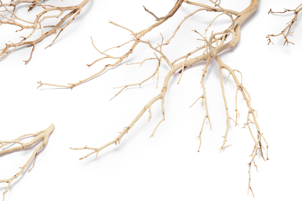 Natural Sandblasted Manzanita Driftwood for Aquarium Decor - Unique Hardwood Branches for Fish Tanks, Reptile Habitats & Home Decoration