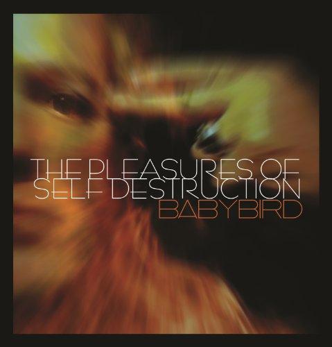 Babybird - The Pleasures Of Self Destruction by Stephen Jones | Alternative Rock Music CD | Perfect for Road Trips & Late Night Listening