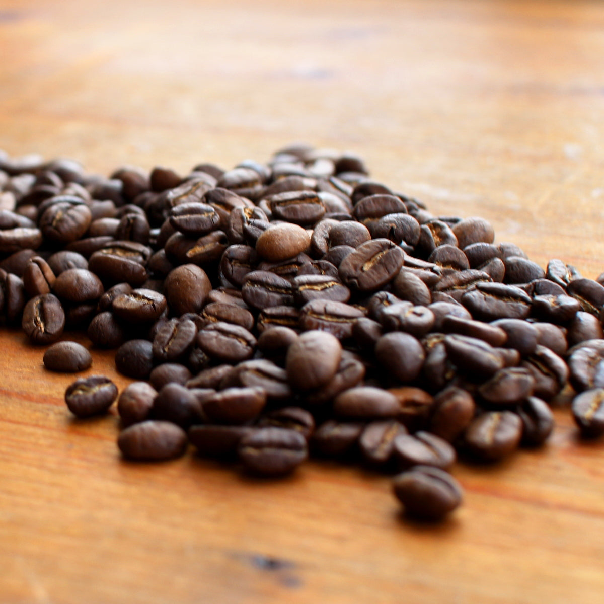 Premium Nutmeg Tavern Coffee Blend with Whole Nutmeg Spices - Rich Aromatic Ground Coffee for Cozy Mornings & Relaxing Evenings - Perfect for Home Brewing, Gifts, and Coffee Lovers
