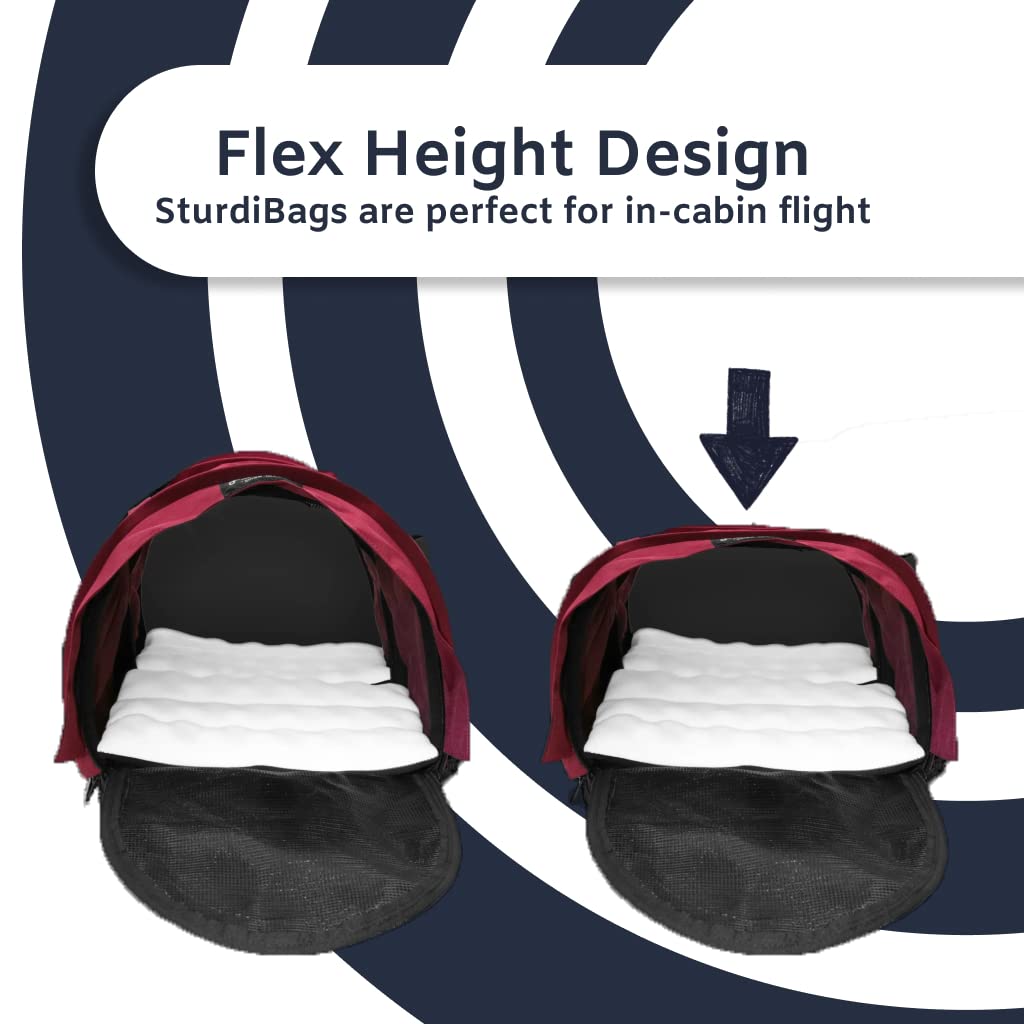 SturdiBag Large Pet Carrier for Dogs & Cats - Durable Airline Approved Travel Carrier with Ventilation & Pockets - Perfect for Air Travel, Vet Visits, and Outdoor Adventures (Bone Color)