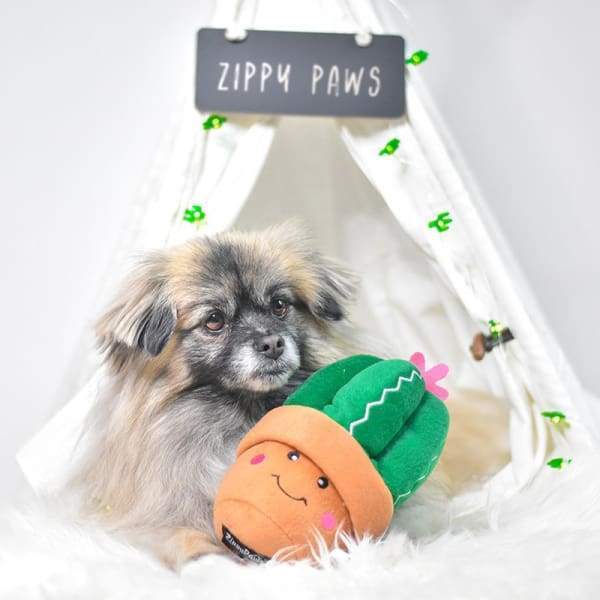 ZippyPaws Carmen The Cactus Plush Dog Toy - Durable & Cute Chew Toy for Small & Medium Dogs - Perfect for Indoor Play, Fetch & Cuddling