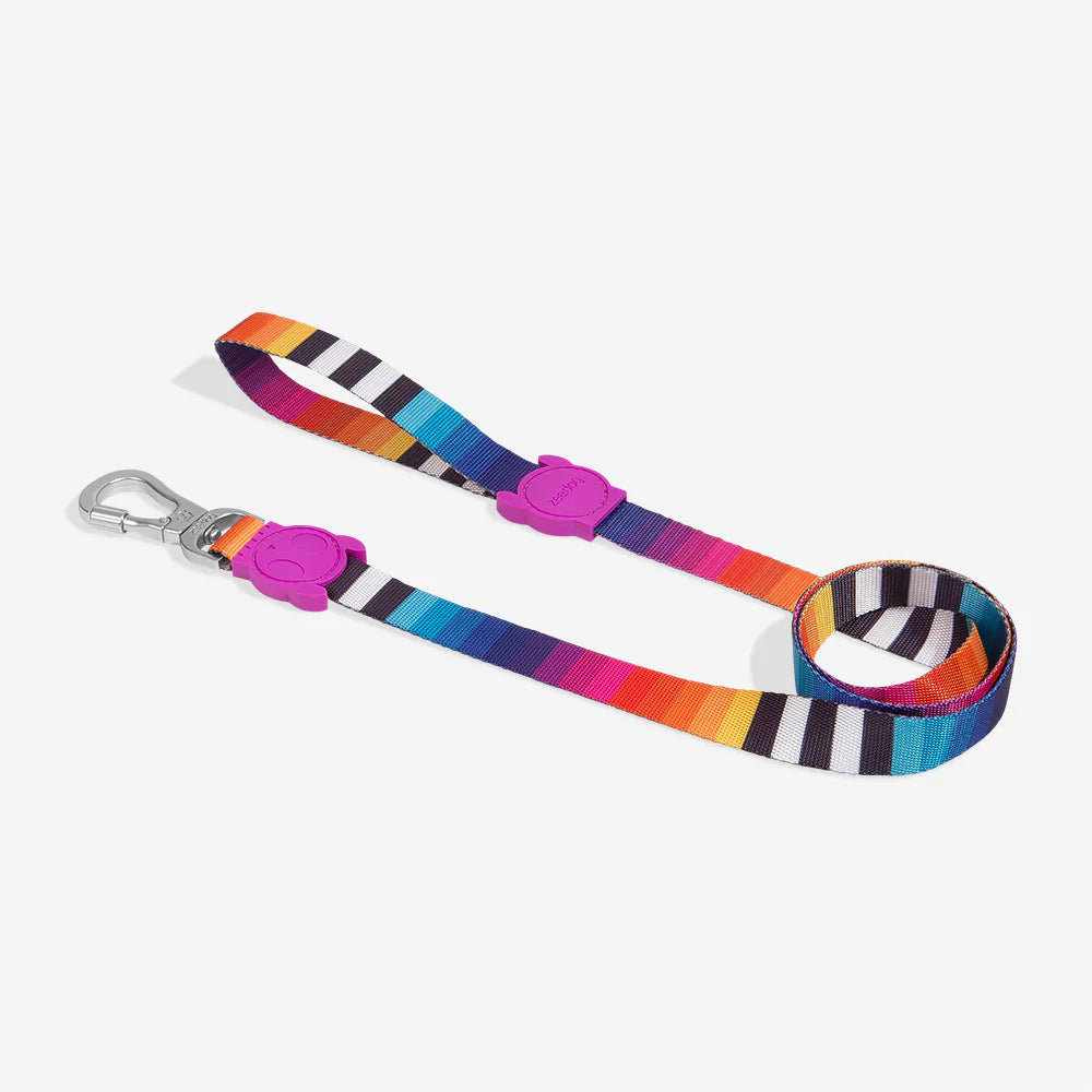Zee.Dog Prisma Dog Collar - Adjustable, Durable & Stylish Pet Collar for Small, Medium & Large Dogs - Perfect for Walks, Training & Outdoor Adventures