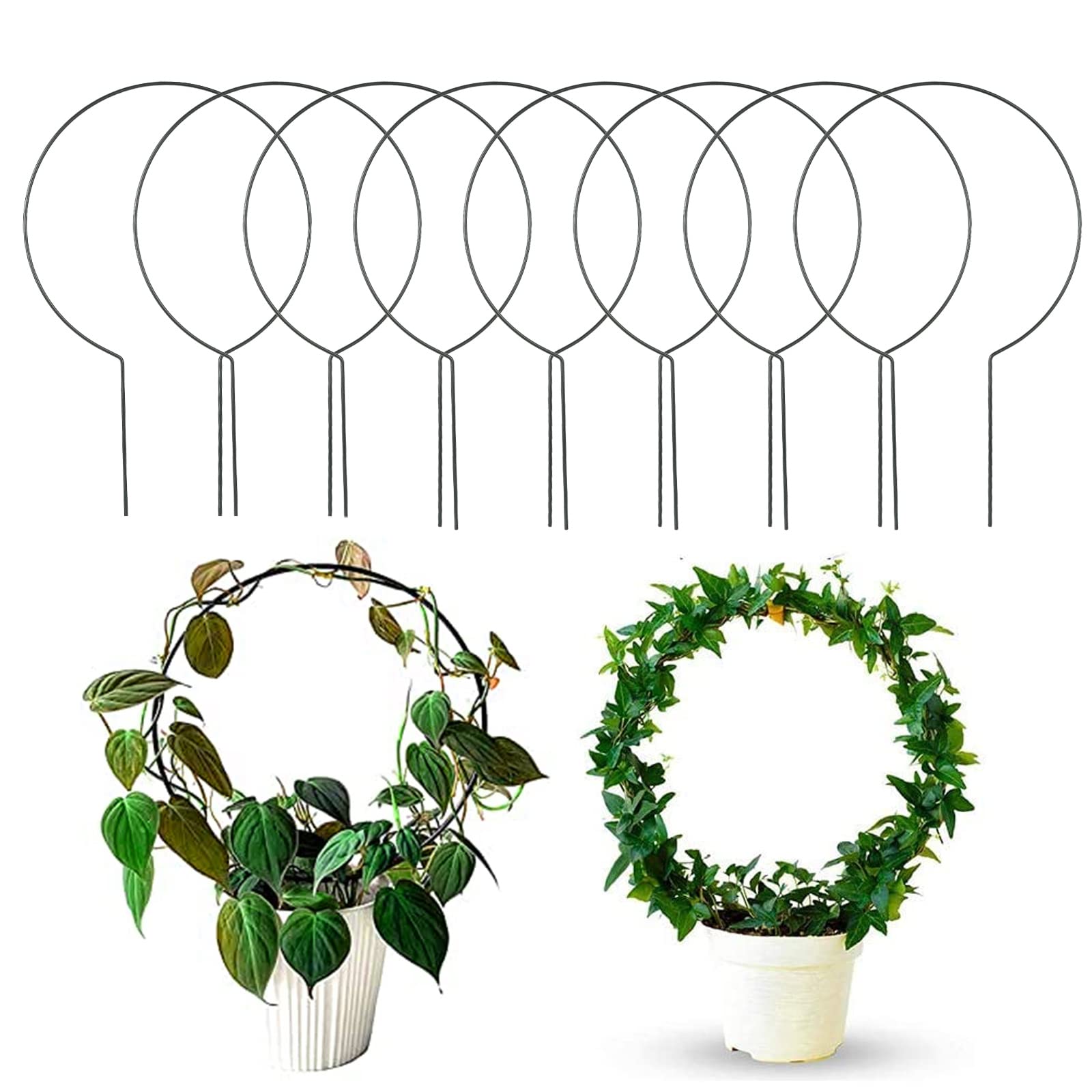 Acrux7 10-Pack Indoor Plant Trellis - Circular Climbing Plant Support for Potted Vines, Hoya & Topiary Frames | Perfect for Home Decor, Garden & Indoor Gardening