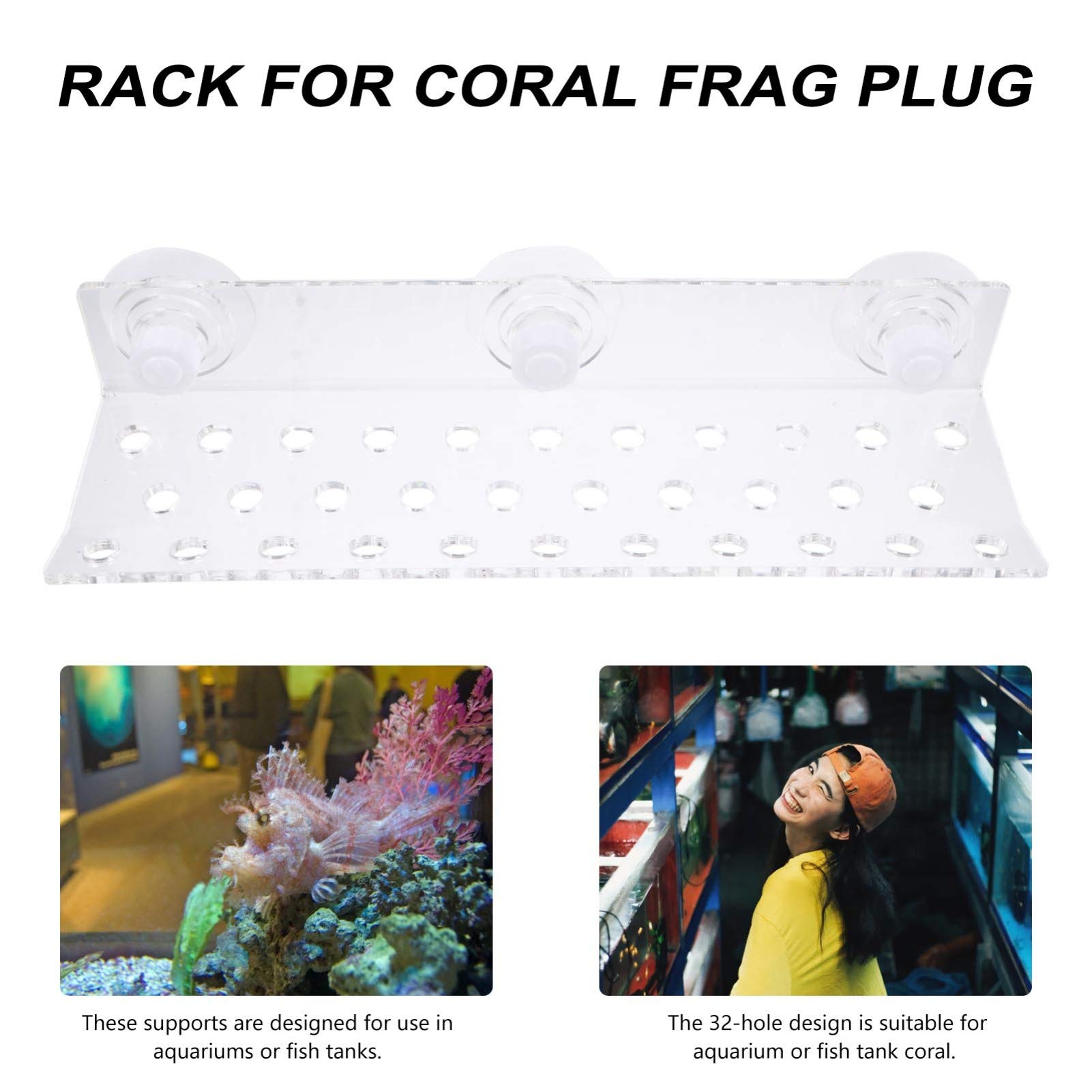 POPETPOP 32-Hole Magnetic Coral Bracket - Acrylic Frag Rack for Saltwater Aquarium, Coral Support Holder with Strong Magnetic Base - Perfect for Reef Tanks, Marine Aquascaping, and Coral Fragmentation