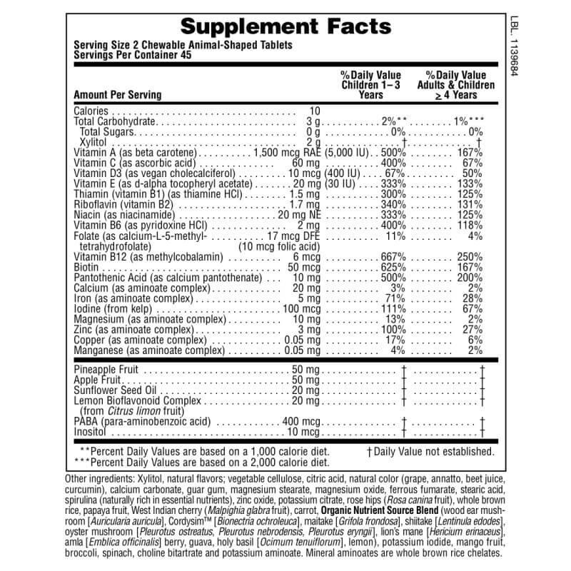 Natures Plus Animal Parade Sugar Free Kids Multivitamin Chewables - 90 Count | Immune Support & Growth for Children | Perfect for Picky Eaters & Daily Nutrition