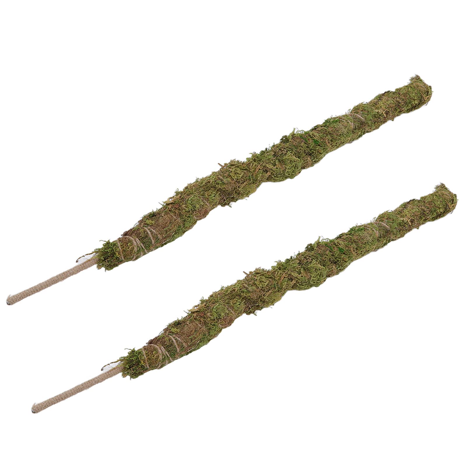 GLOGLOW Moss Pole for Climbing Plants - 2 Pack Natural Plant Support Stick for Vines, Monstera, Pothos - Indoor & Outdoor Gardening Accessories for Healthy Vertical Growth