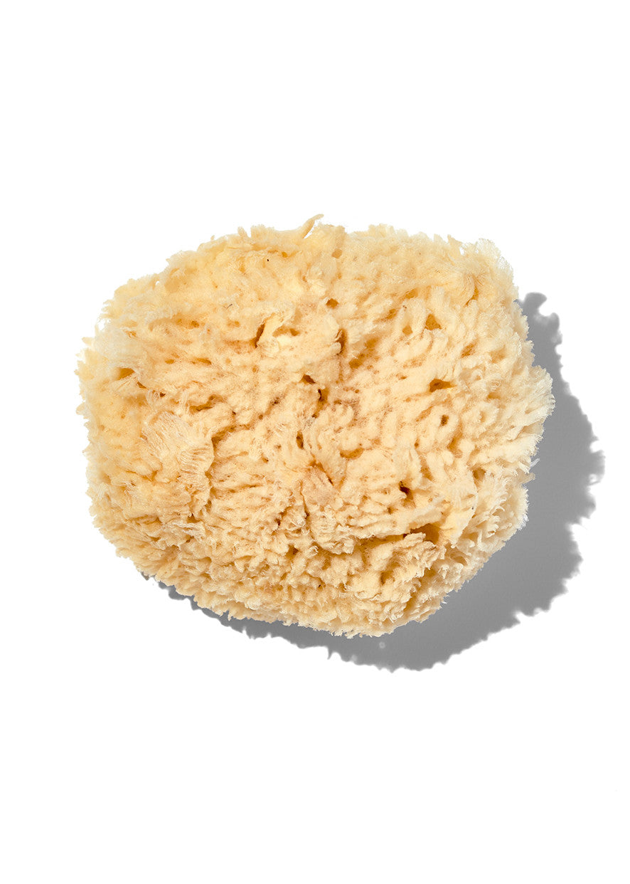 Natural Wool 5-6 Inch Sea Sponge for Bath & Body - Eco-Friendly, Soft & Absorbent for Sensitive Skin - Perfect for Shower, Baby Care & Makeup Application