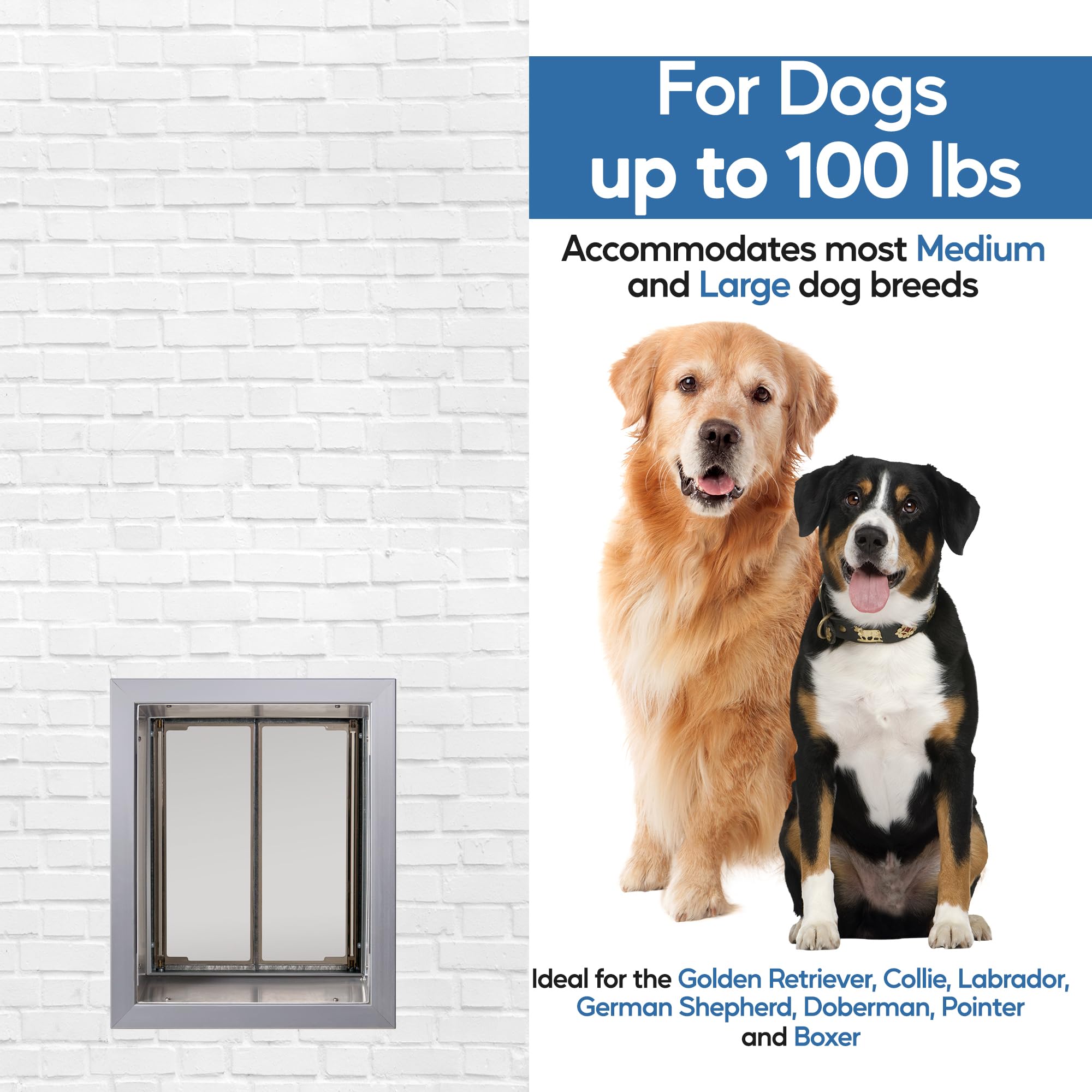 Plexidor Performance Wall Mount Pet Door - Energy Efficient Lockable Dog Door for Small to Large Pets | Indoor & Outdoor Use for Homes & Patios