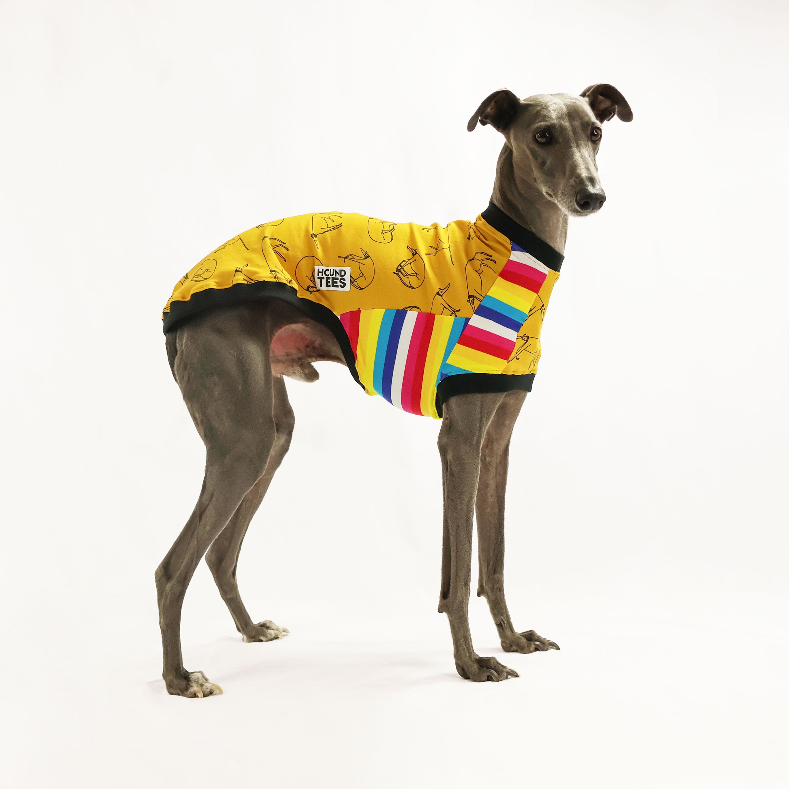 Harriet's Hounds Whippet Sleeveless Dog T-Shirt - Comfortable Breathable Pet Apparel for Active Dogs, Running, Walking & Outdoor Adventures