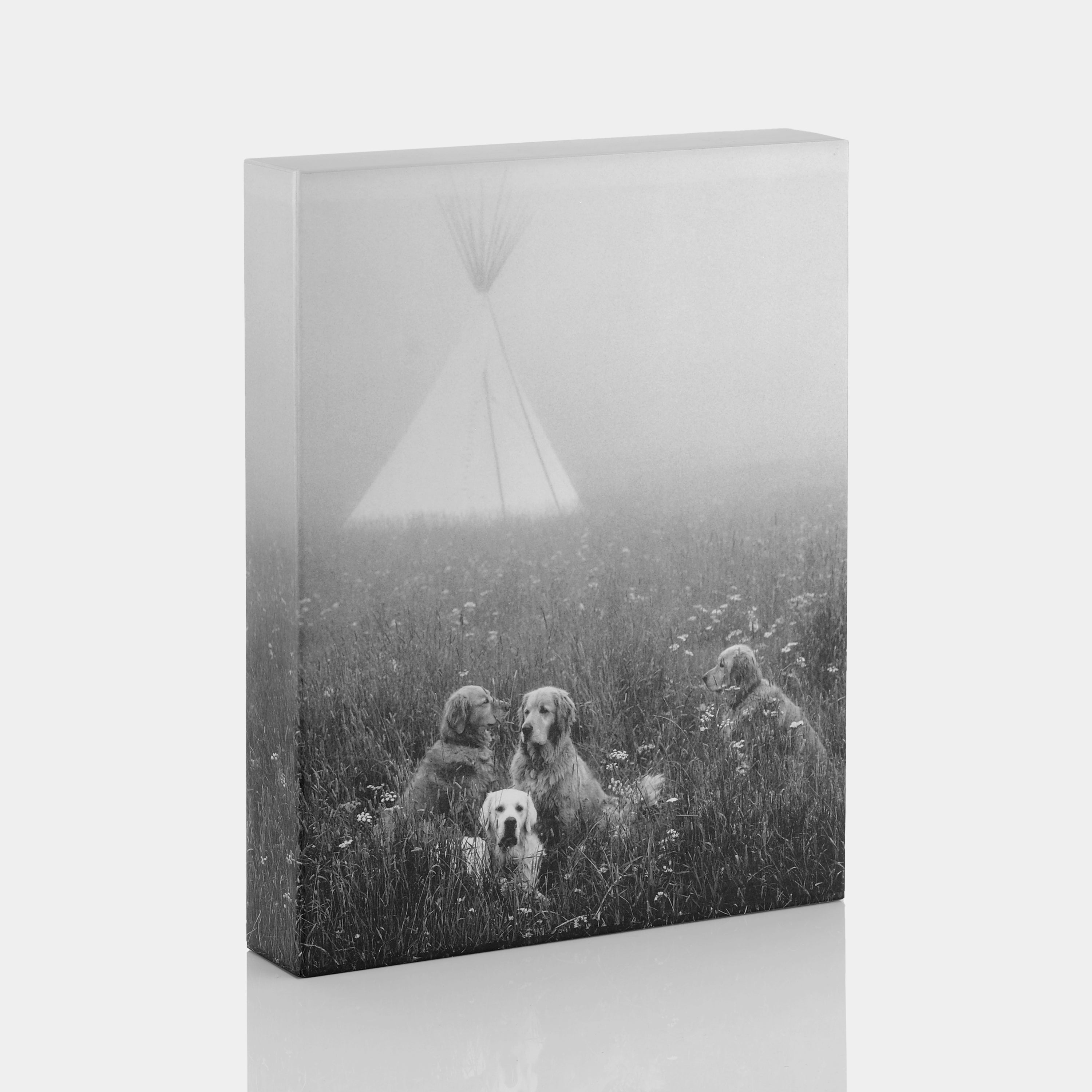 Bruce Weber The Golden Retriever Photographic Society XL Hardcover Book - Dog Photography Collection, Large Coffee Table Book for Pet Lovers & Home Decor