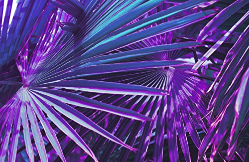 Neon Palms