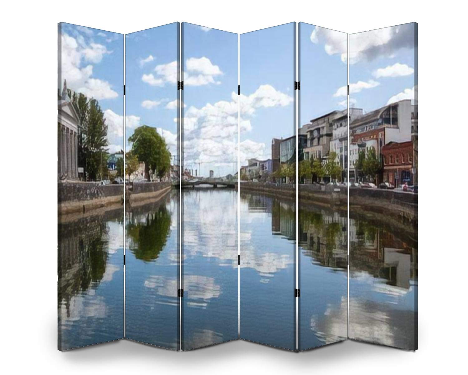 APED DECOR Wooden Room Divider - 6-Panel Folding Privacy Screen with Cork Ireland River Lee Canvas Print, Dual-Sided Wall Partition for Home Office, Bedroom Separation & Indoor Display Shelves | Perfect for Creating Private Spaces in Living Rooms, Studios, and Workspaces