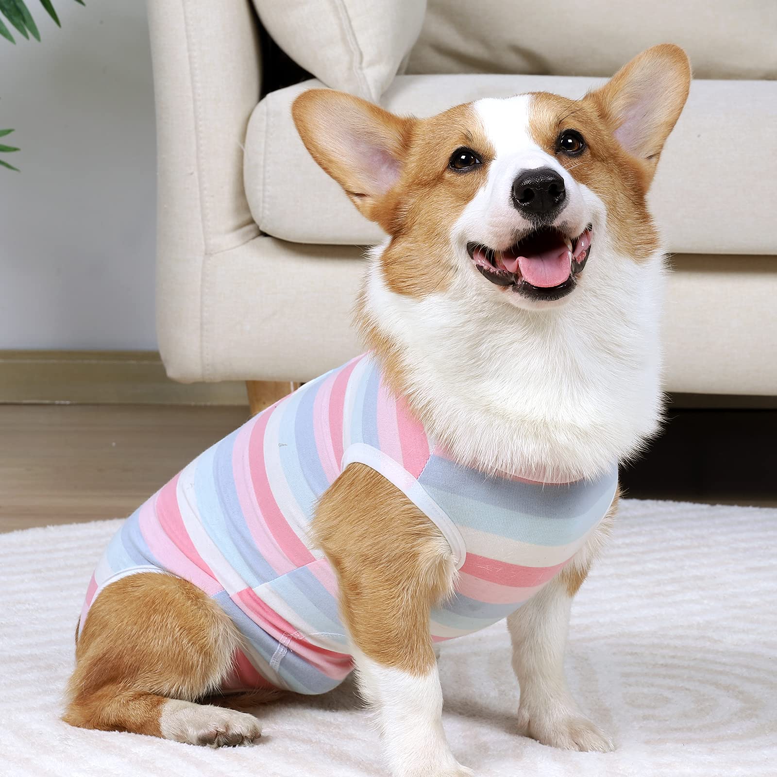 Dog Surgery Recovery Suit - Soft & Comfortable Onesie for Small & Medium Dogs | E-Collar Alternative | Post-Surgery Protection | Prevents Licking Wounds | Perfect for Spay/Neuter Recovery & Abdominal Healing