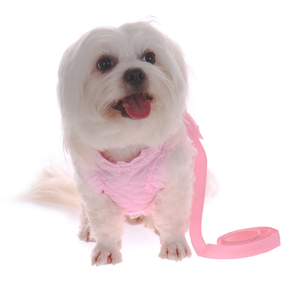 Small Pet Cat Dog Harness and Leash Set - Breathable Mesh Vest with Lace & Pearl Angel Wings + 49.21