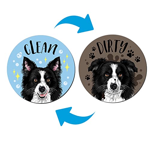 Black and White Border Collie Dog