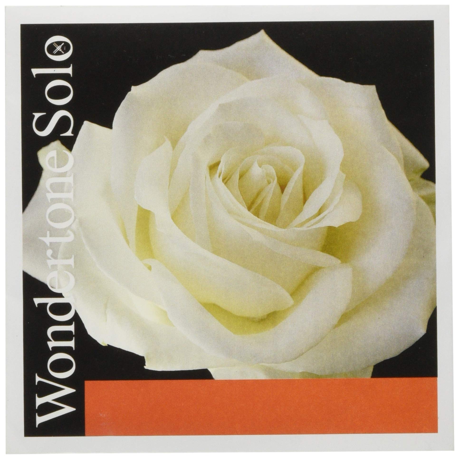 PIRASTRO Wondertone Solo 4102 Violin Strings A-Wire 4/4 Size Synthetic Core with Aluminum Wound - Perfect for Professional Violinists & Orchestral Performances