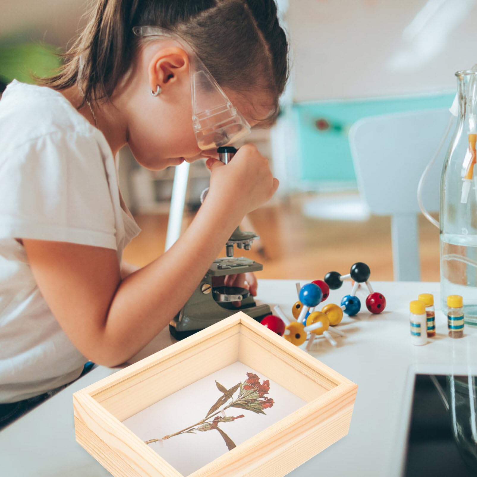 Butterfly Specimen Display Case - Entomology Shadow Box Frame for Butterfly Collections, Collages & Specimen Preservation | Perfect for Home Decor, Science Classrooms & Museum Exhibits