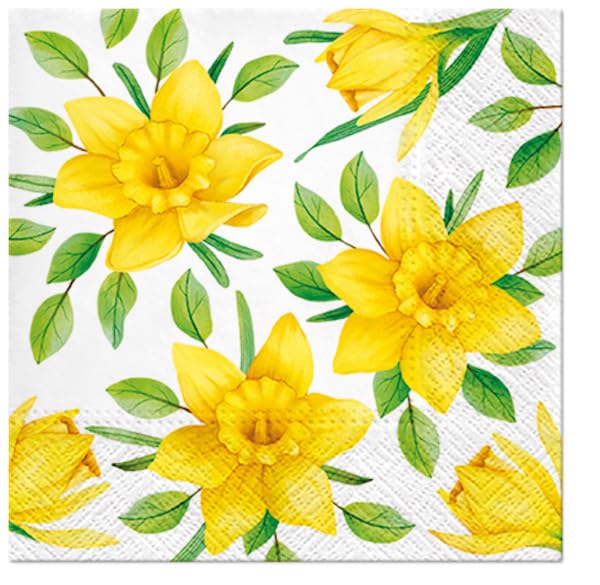 Daffodils in Bloom