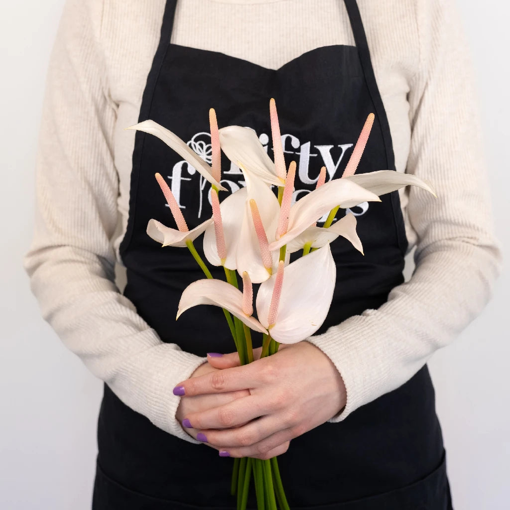 Anthurium Pink Mist Tropical Flower - Live Houseplant for Home & Office Decor - Perfect for Gifts, Weddings, and Indoor Gardening