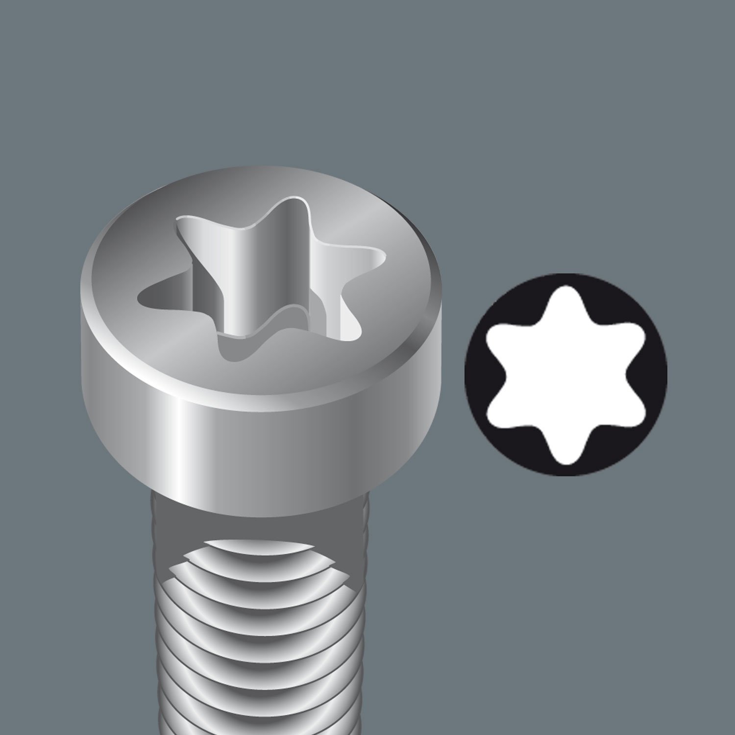 20 x 89mm TORX Socket Screw Bits - 867/4 Z TX SB - High-Speed Steel Screwdriver Bits for Automotive, Machinery & DIY Projects