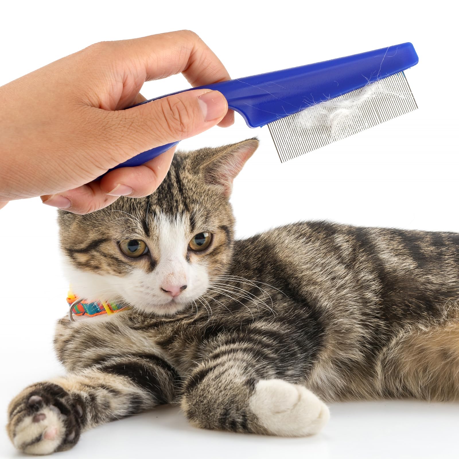2-in-1 Stainless Steel Pet Grooming Comb Kit - Dual Sided Dog Comb for Hair Removal, Tangle & Flea Control - Tear Stain Remover & Massage Brush (2 Pack, Blue) - Perfect for Daily Grooming & Professional Pet Care