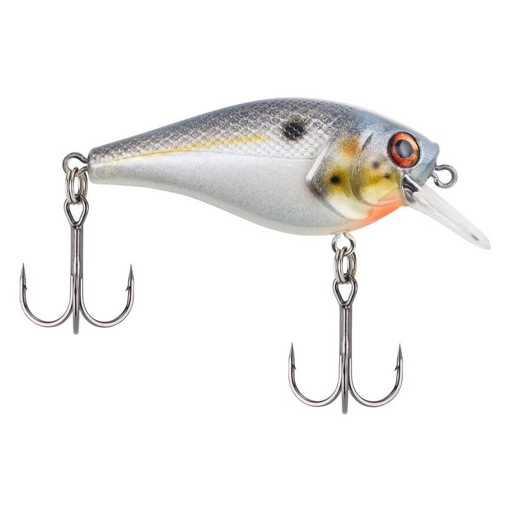 Berkley SquareBull Crankbait Fishing Lure - 2 3/8 Inch, 3/8oz, Sexier Shad Color, Floating Design - Perfect for Bass and Walleye Fishing in Freshwater Lakes