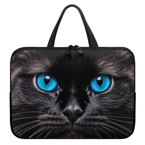 Animal Cat Black