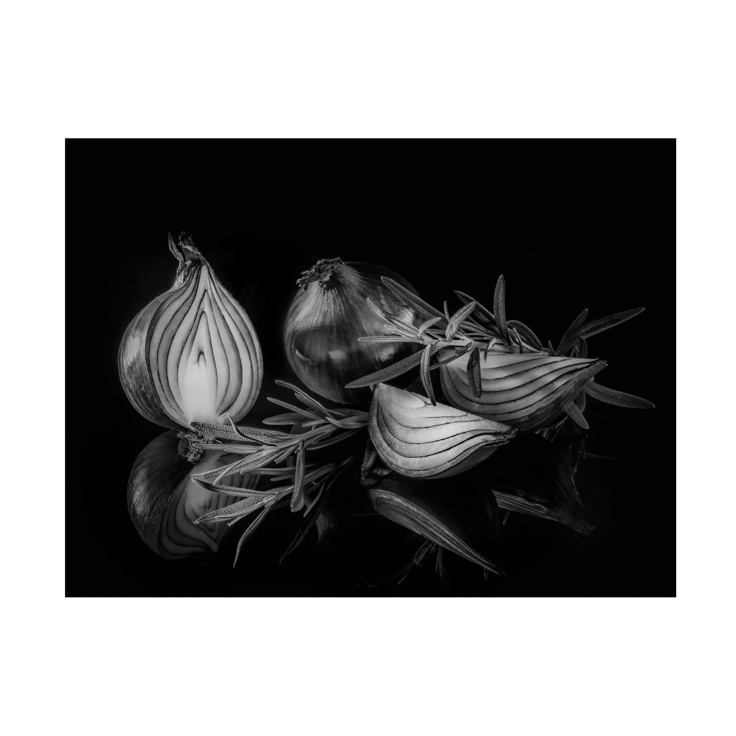 Trademark Fine Art 'Onion' Canvas Wall Art Print by Britt Vienonen - Modern Kitchen Decor for Home & Restaurant