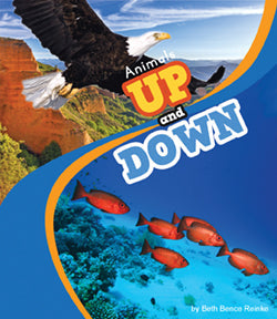 Animals Up and Down - Interactive Lift-the-Flap Board Book for Toddlers | Perfect for Early Learning, Storytime & Bedtime Reading