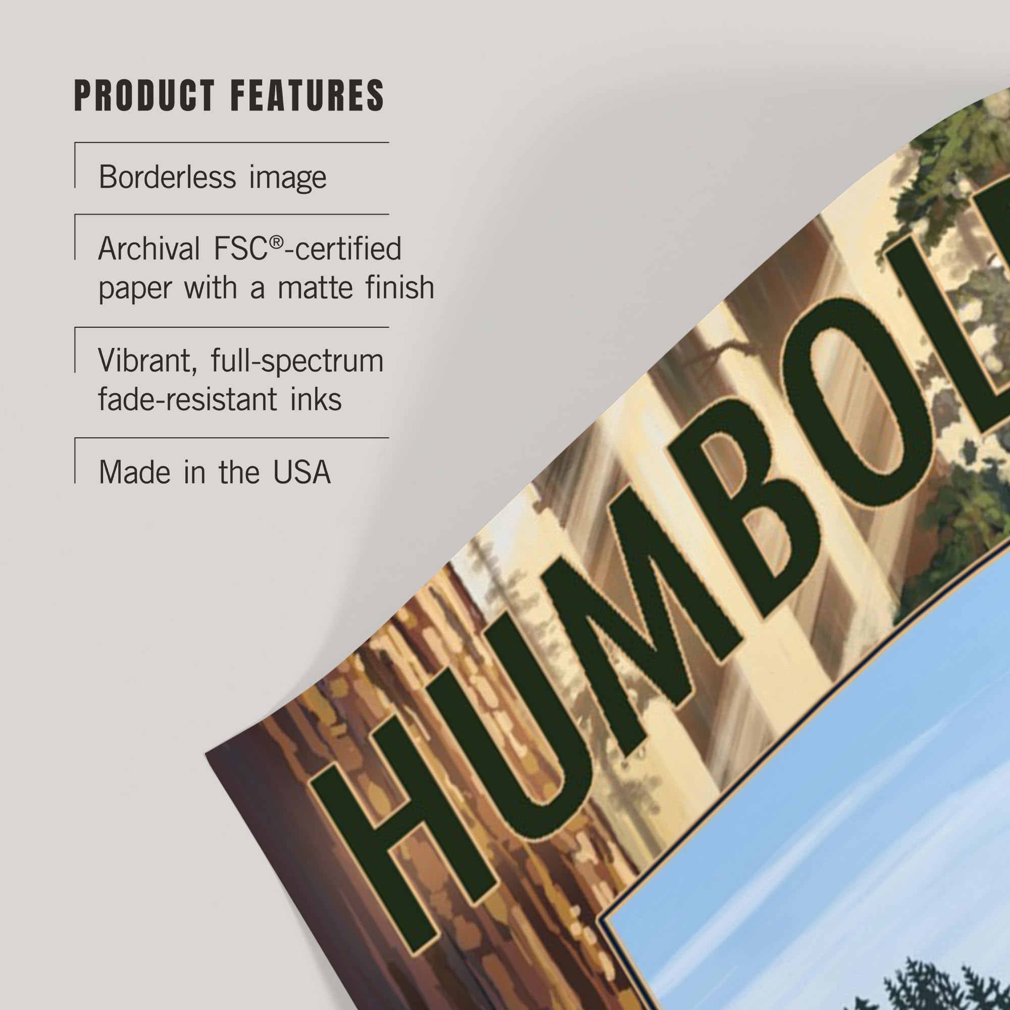 Lantern Press 16x24 Inch Giclee Art Print - Humboldt County California Redwoods & Beach Landscape Wall Decor | Perfect for Living Room, Bedroom or Office