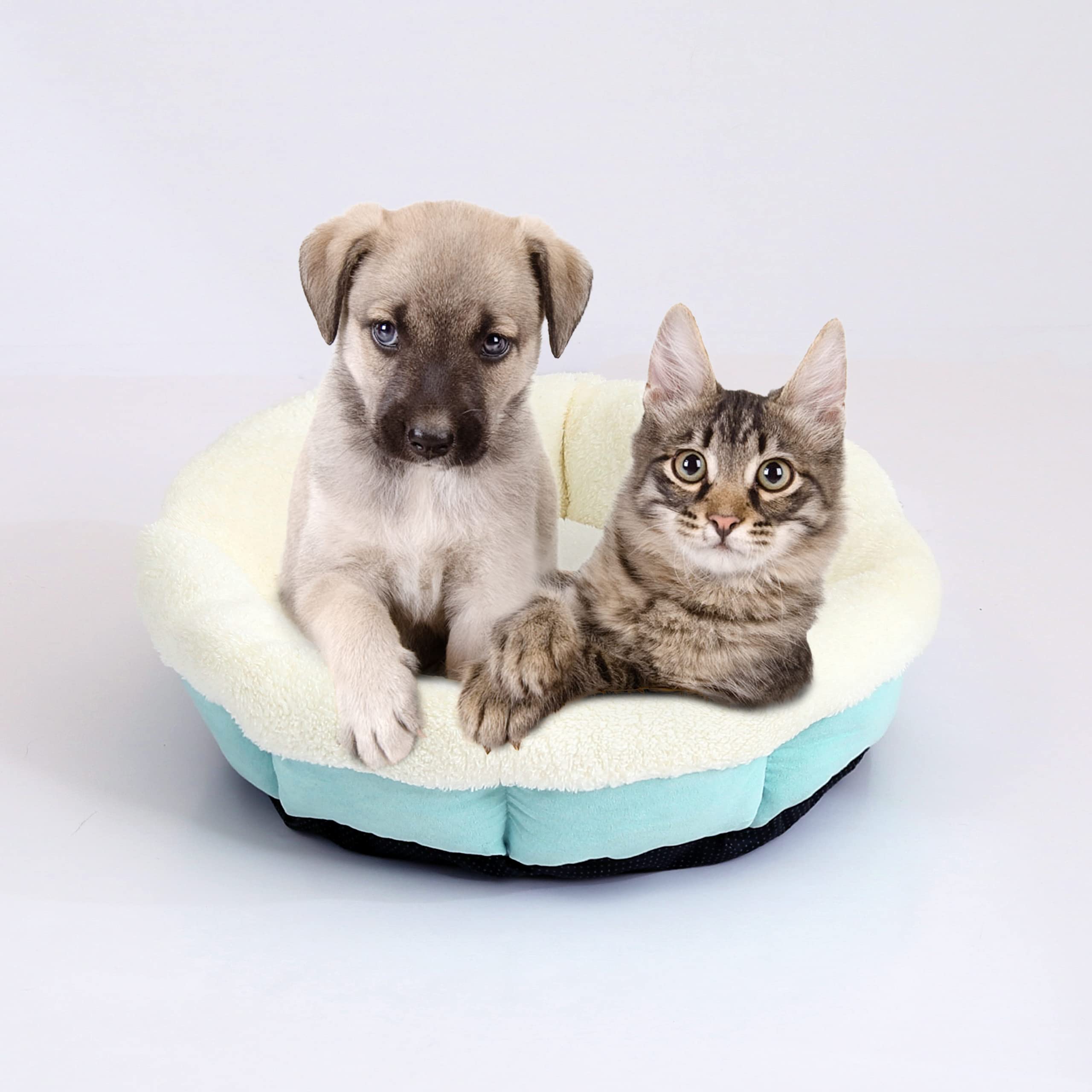 Hardy Buddy Round Dog Bed - Soft Suede Pet Bed for Dogs & Cats, Cozy Bolster Pet Sofa with Non-Slip Bottom - Perfect for Living Room, Bedroom & Pet Napping Areas
